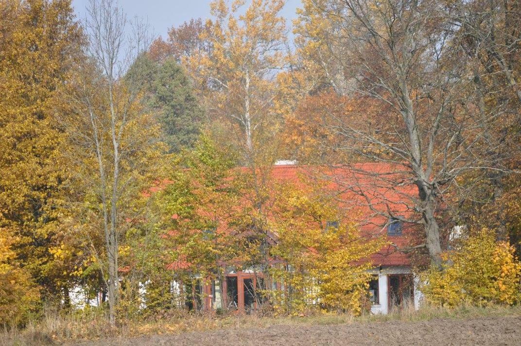 Poza Zgielkiem Villa Węgorzewo Buitenkant foto